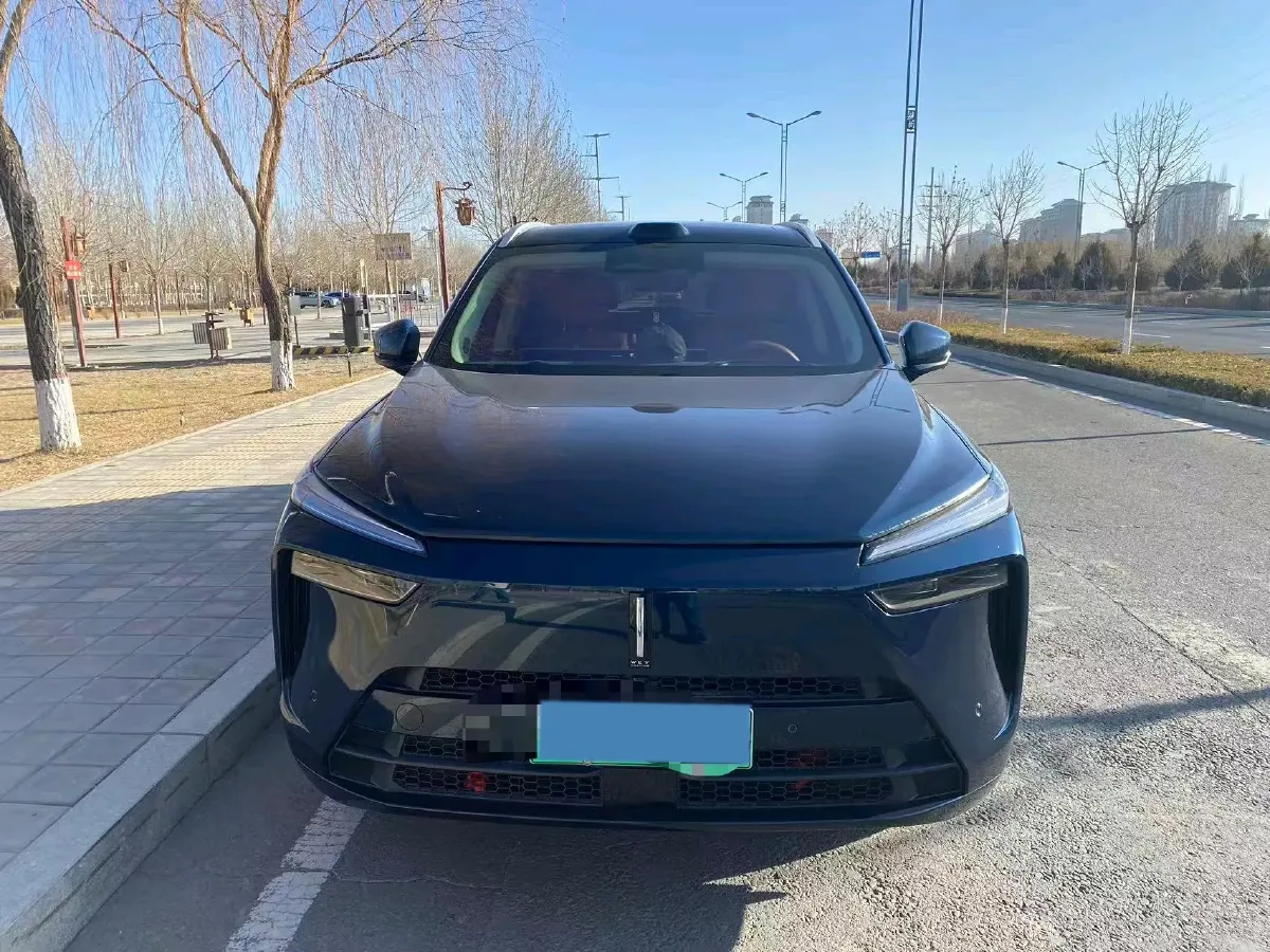 2025 WEY BlueMountain 1.5T 170HP L4 4DHT PHEV 44.5KWH,autocango,china used car exporter,china ev exporter,chinese used car exporter,chinese used ev exporter
