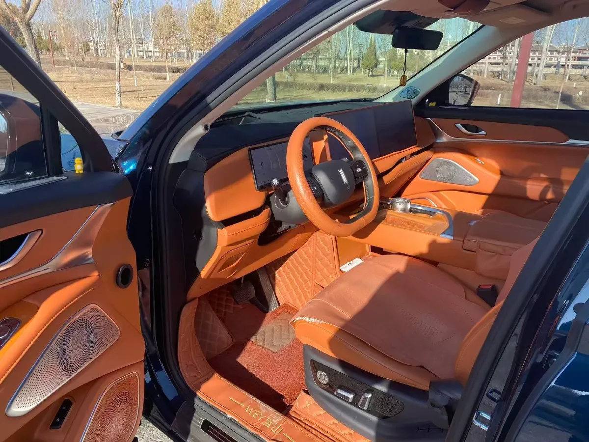 2025 WEY BlueMountain 1.5T 170HP L4 4DHT PHEV 44.5KWH,autocango,china used car exporter,china ev exporter,chinese used car exporter,chinese used ev exporter