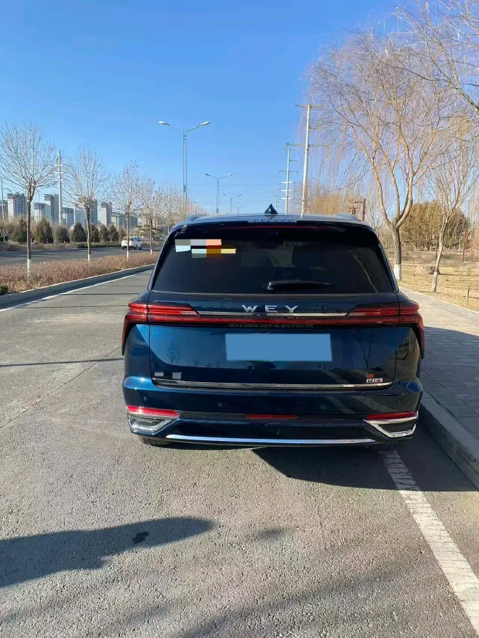 2025 WEY BlueMountain 1.5T 170HP L4 4DHT PHEV 44.5KWH,autocango,china used car exporter,china ev exporter,chinese used car exporter,chinese used ev exporter