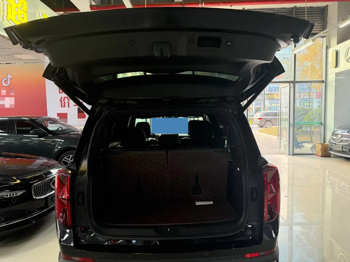 2022 GAC Trumpchi GS8 2.0T 252HP L4 8AT,autocango,china used car exporter,china ev exporter,chinese used car exporter,chinese used ev exporter