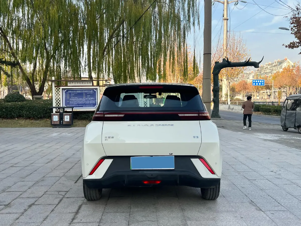 2024 BYD Seagull BEV 30.08KWH,autocango,china used car exporter,china ev exporter,chinese used car exporter,chinese used ev exporter