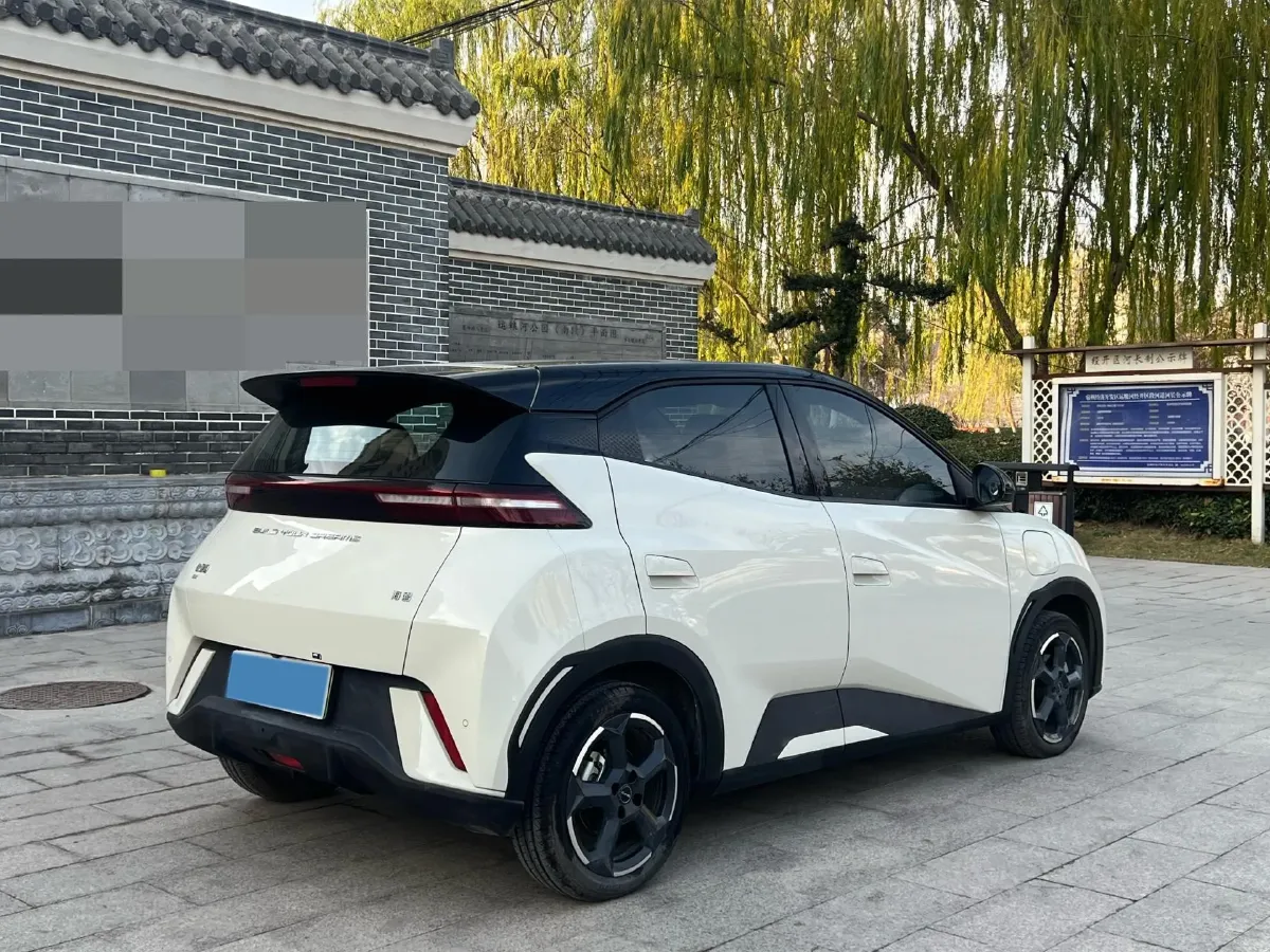 2024 BYD Seagull BEV 30.08KWH,autocango,china used car exporter,china ev exporter,chinese used car exporter,chinese used ev exporter