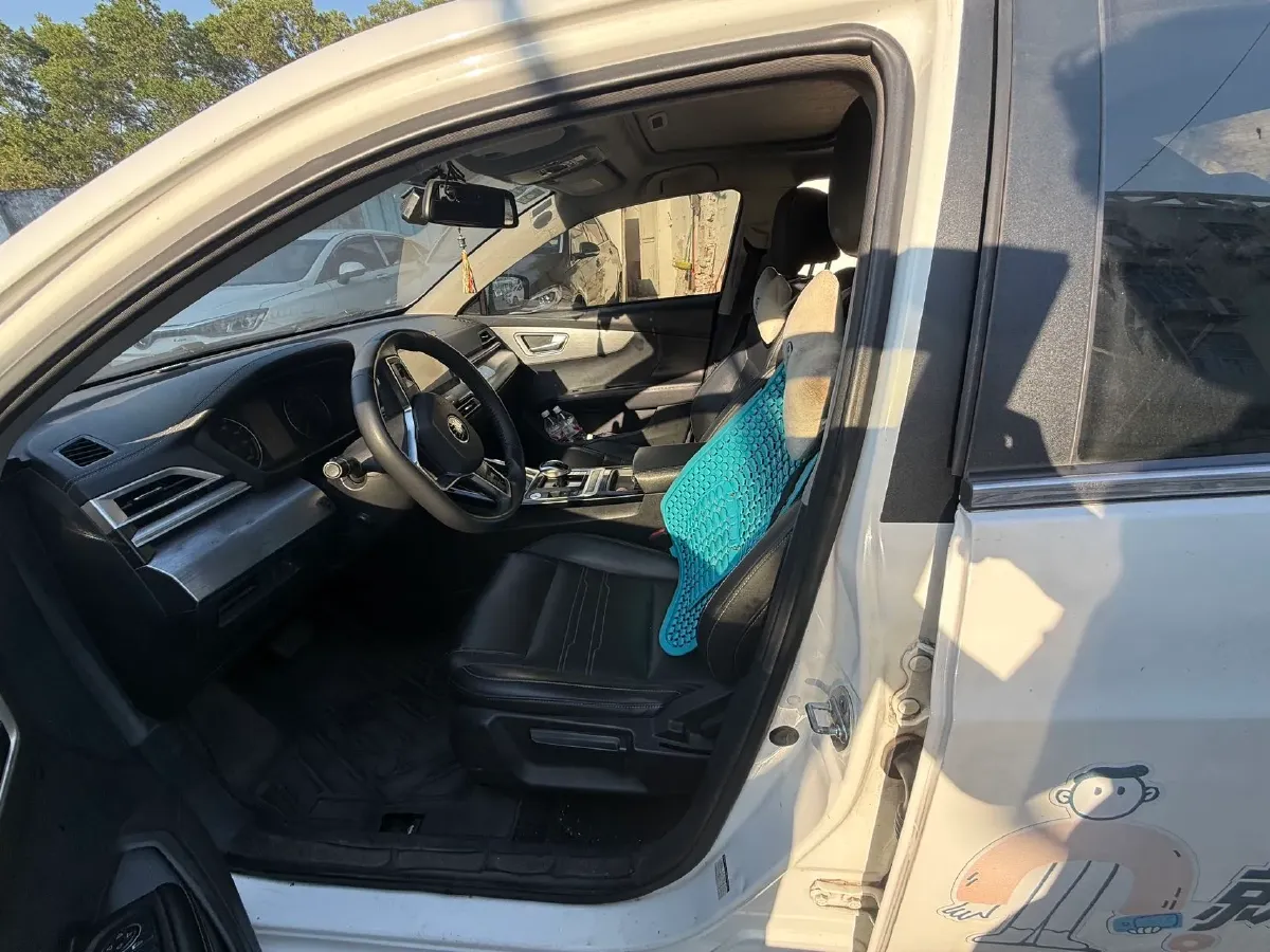 2019 BYD Qin BEV 53.1KWH,autocango,china used car exporter,china ev exporter,chinese used car exporter,chinese used ev exporter