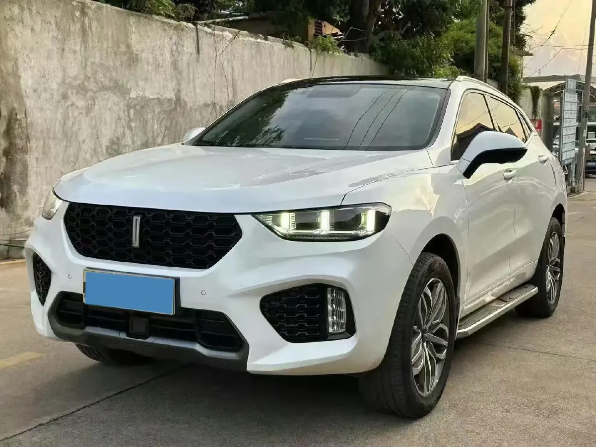 2019 WEY VV5 2.0T 224HP L4 7DCT