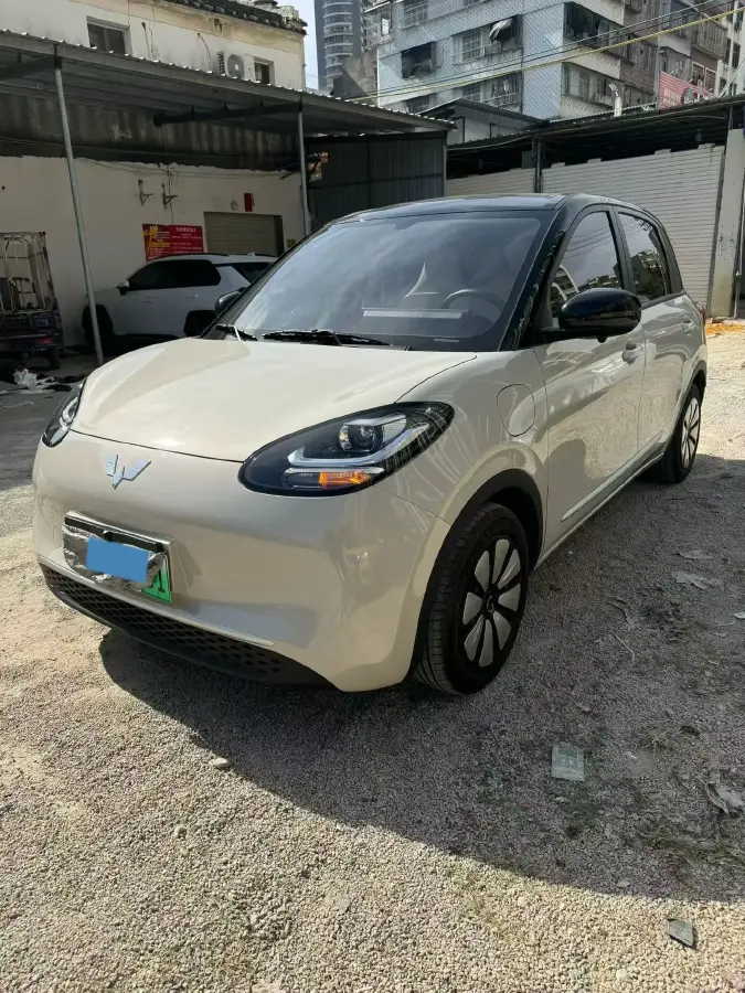 2025 WuLing BinGuo BEV