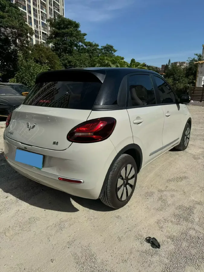2025 WuLing BinGuo BEV,autocango,china used car exporter,china ev exporter,chinese used car exporter,chinese used ev exporter