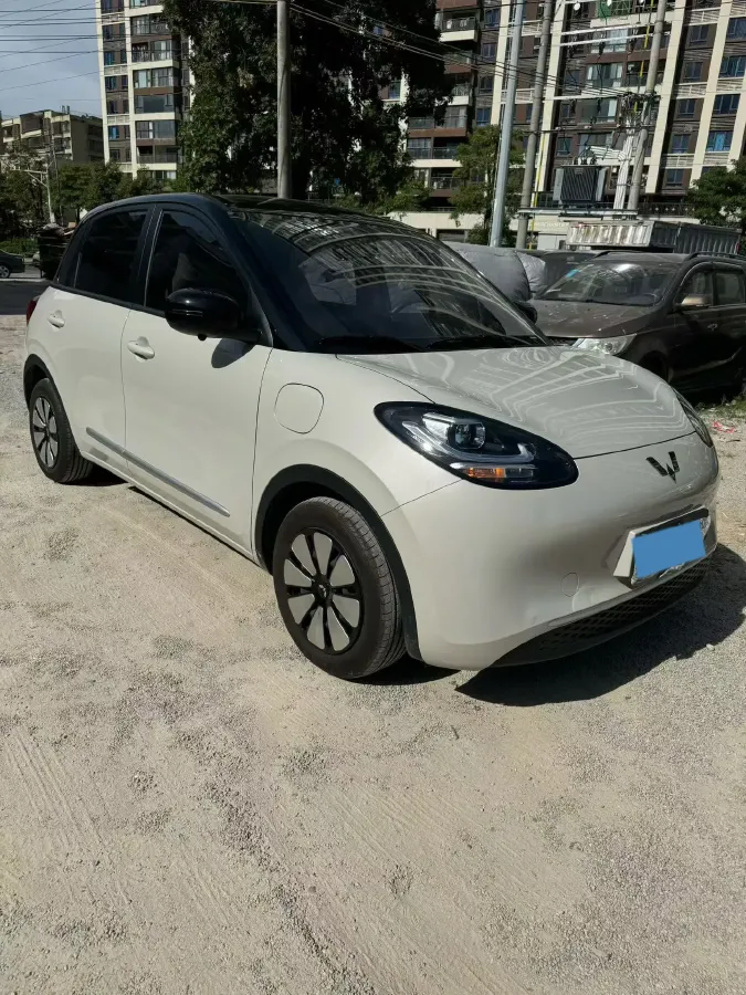 2025 WuLing BinGuo BEV,autocango,china used car exporter,china ev exporter,chinese used car exporter,chinese used ev exporter