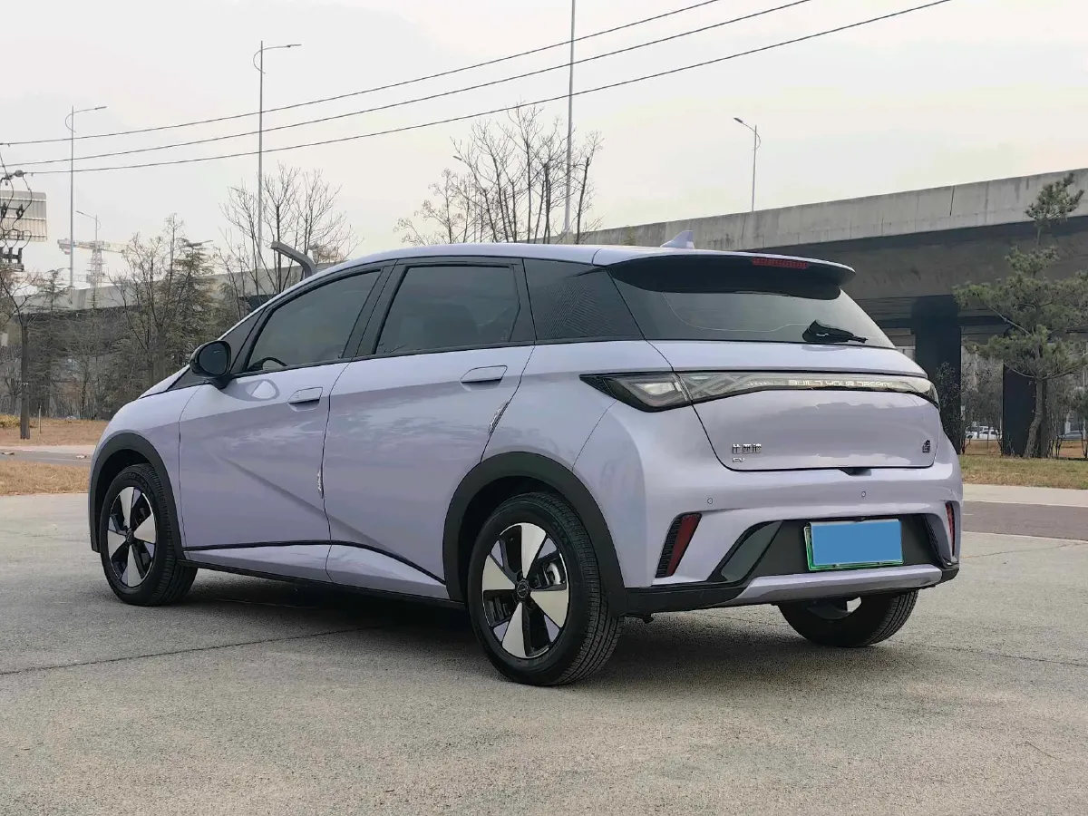 2023 BYD Dolphin BEV 44.928KWH,autocango,china used car exporter,china ev exporter,chinese used car exporter,chinese used ev exporter