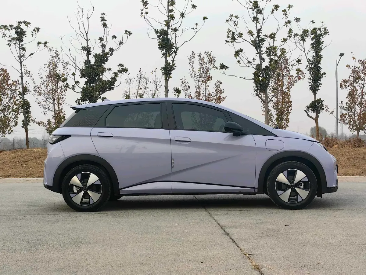 2023 BYD Dolphin BEV 44.928KWH,autocango,china used car exporter,china ev exporter,chinese used car exporter,chinese used ev exporter