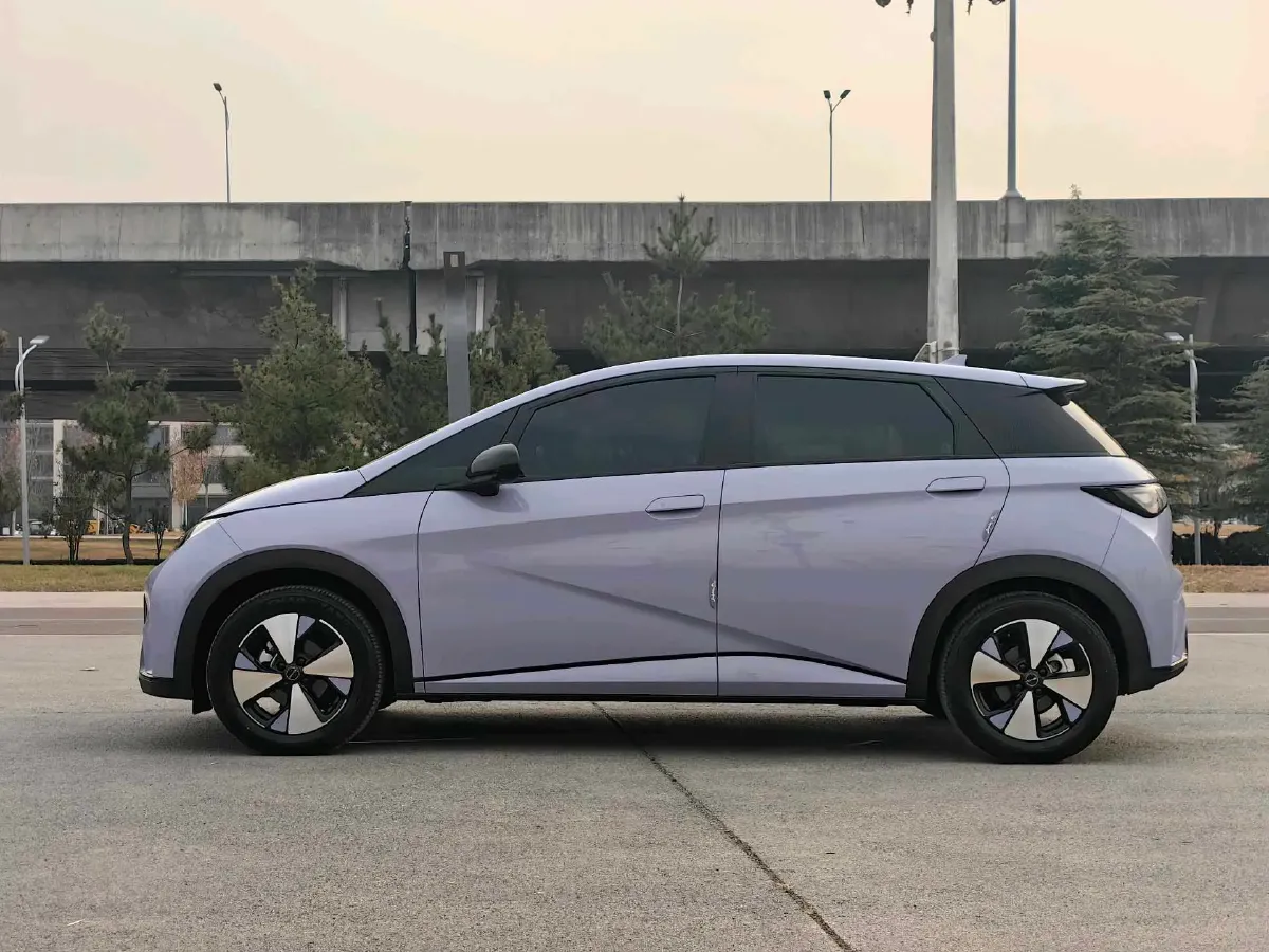 2023 BYD Dolphin BEV 44.928KWH,autocango,china used car exporter,china ev exporter,chinese used car exporter,chinese used ev exporter