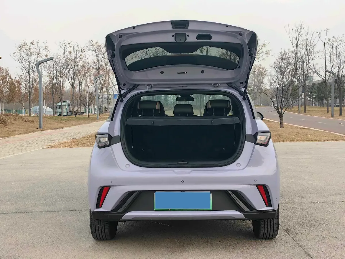 2023 BYD Dolphin BEV 44.928KWH,autocango,china used car exporter,china ev exporter,chinese used car exporter,chinese used ev exporter