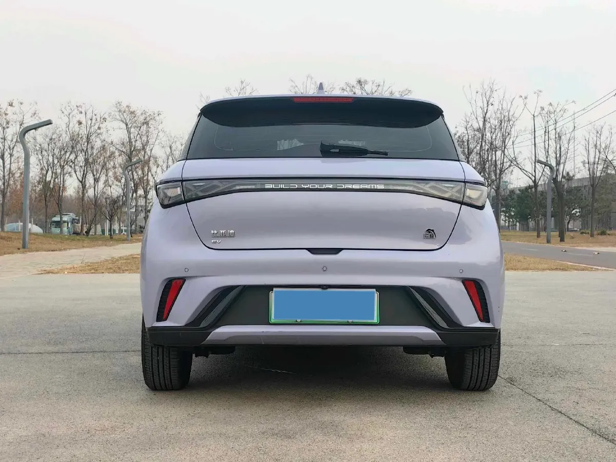 2023 BYD Dolphin BEV 44.928KWH,autocango,china used car exporter,china ev exporter,chinese used car exporter,chinese used ev exporter