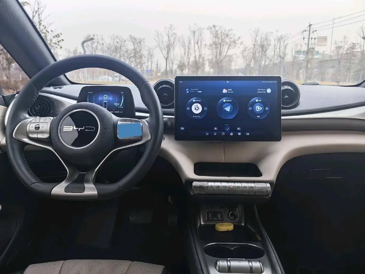 2023 BYD Dolphin BEV 44.928KWH,autocango,china used car exporter,china ev exporter,chinese used car exporter,chinese used ev exporter