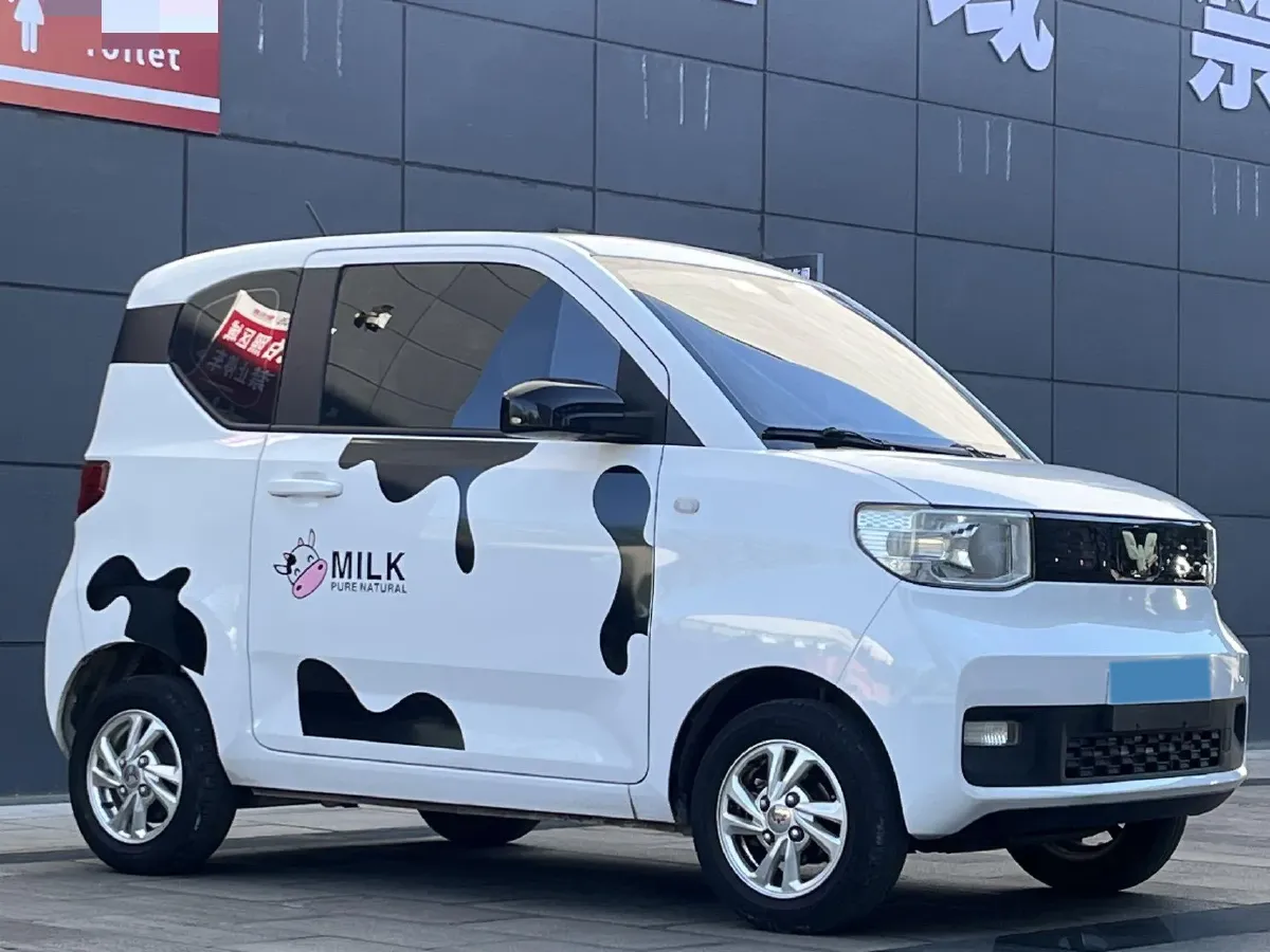2021 WuLing HongGuang MINI EV BEV 9KWH,autocango,china used car exporter,china ev exporter,chinese used car exporter,chinese used ev exporter
