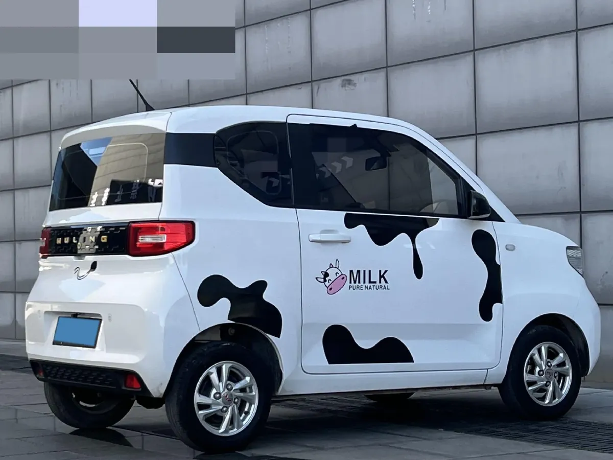 2021 WuLing HongGuang MINI EV BEV 9KWH,autocango,china used car exporter,china ev exporter,chinese used car exporter,chinese used ev exporter