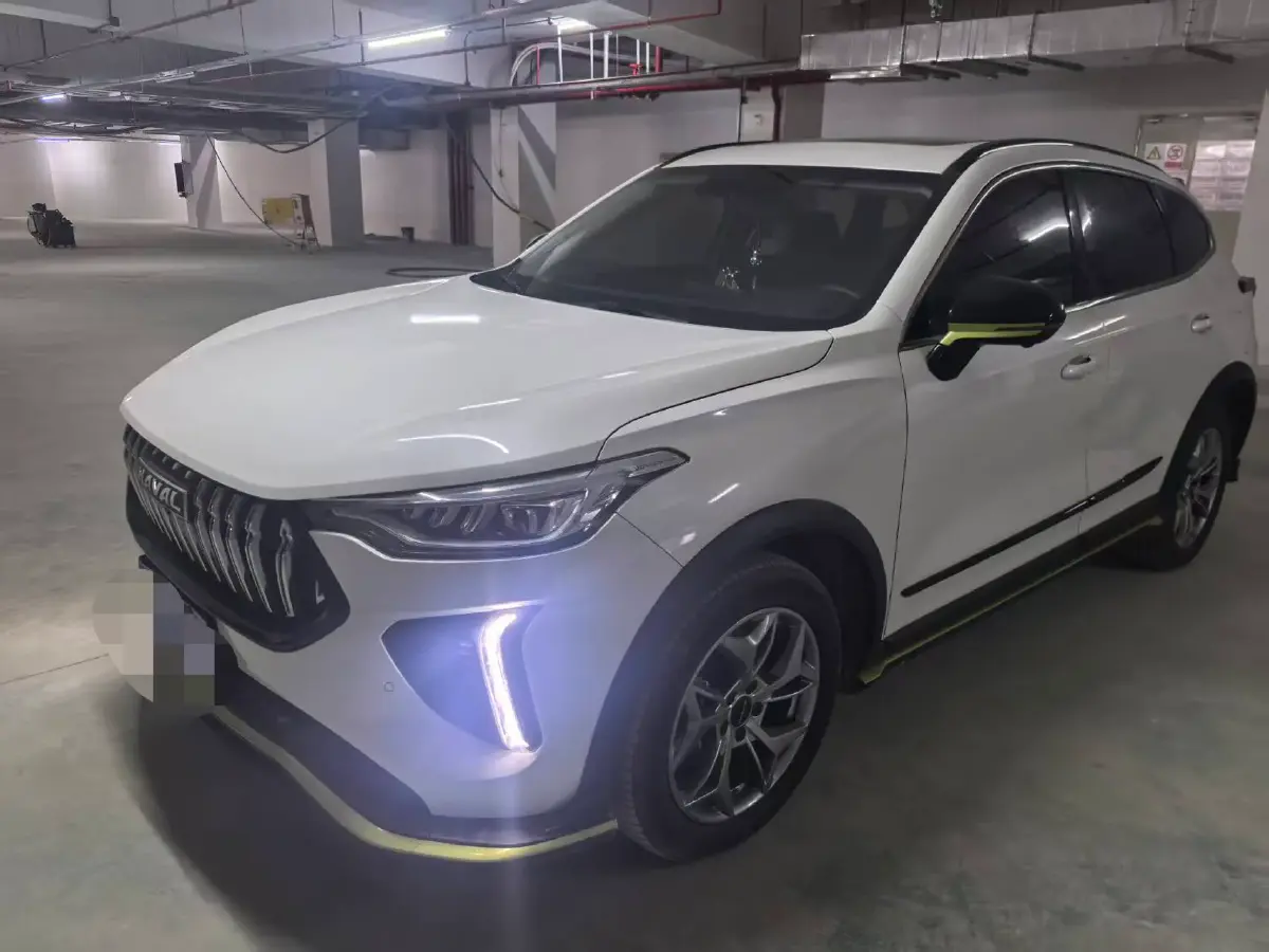 2022 Haval Rabbit 1.5T 150HP L4 7DCT
