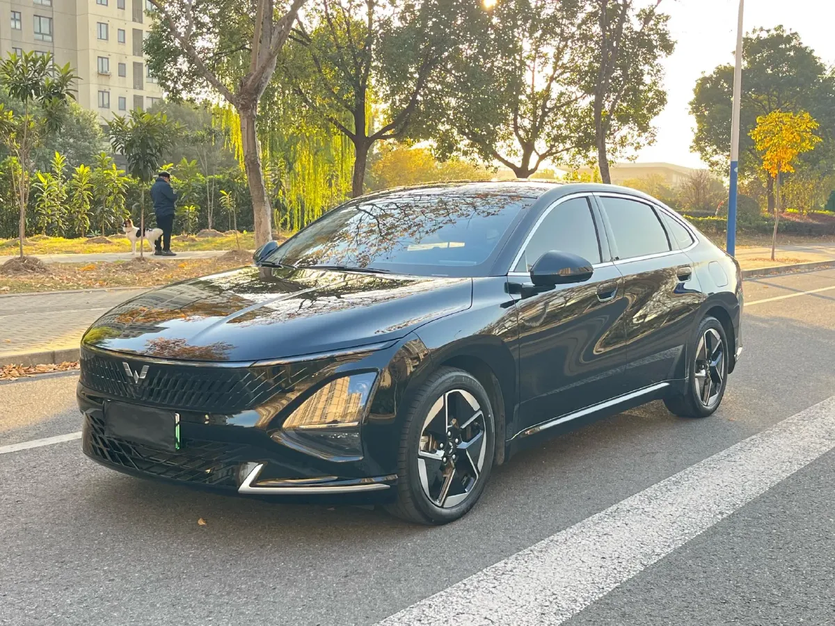 2024 WuLing XingGuang 1.5L 106HP L4 E-CVT PHEV 20.5KWH,autocango,china used car exporter,china ev exporter,chinese used car exporter,chinese used ev exporter