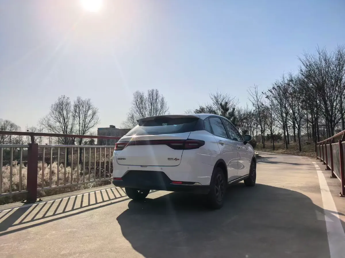 2023 Yudo Rabbit BEV 31.95KWH,autocango,china used car exporter,china ev exporter,chinese used car exporter,chinese used ev exporter