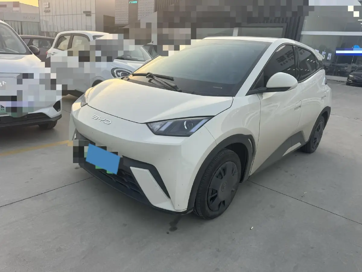 2023 BYD Seagull BEV 30.08KWH