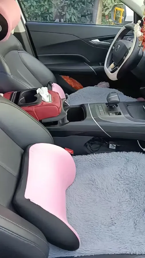 2024 ChangAn Eado 1.5T 170HP L4 7DCT,autocango,china used car exporter,china ev exporter,chinese used car exporter,chinese used ev exporter