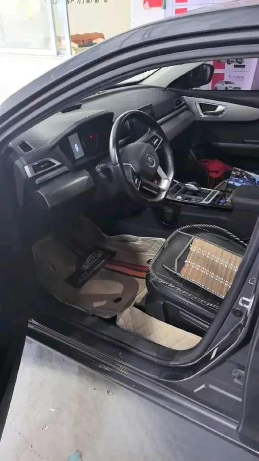 2019 BYD Qin Pro BEV 53.1KWH,autocango,china used car exporter,china ev exporter,chinese used car exporter,chinese used ev exporter