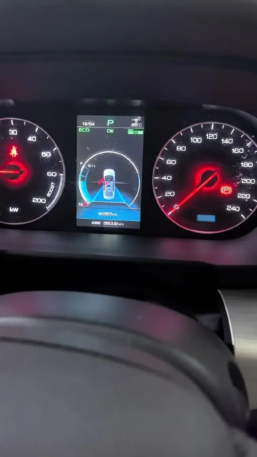 2019 BYD Qin Pro BEV 53.1KWH,autocango,china used car exporter,china ev exporter,chinese used car exporter,chinese used ev exporter