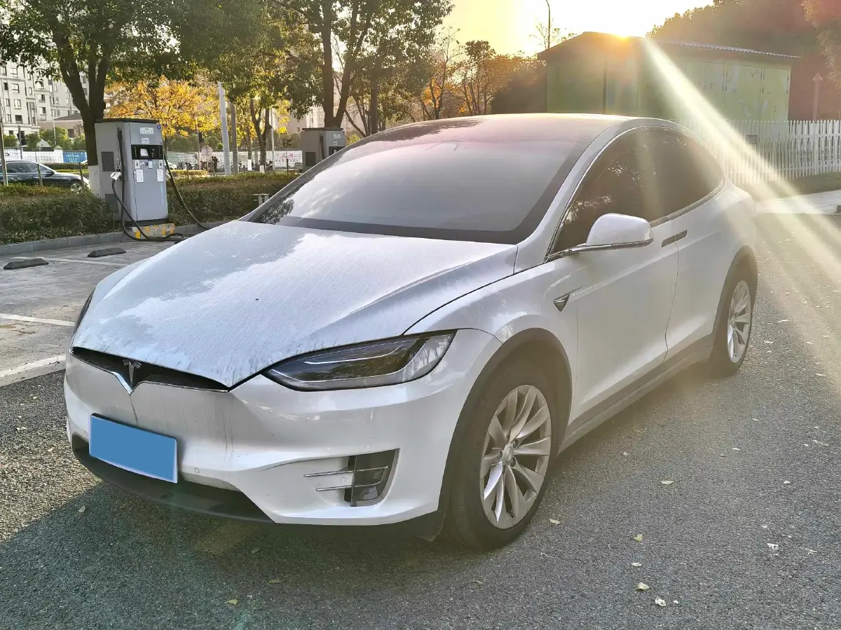 2017 Tesla Model X BEV 100KWH