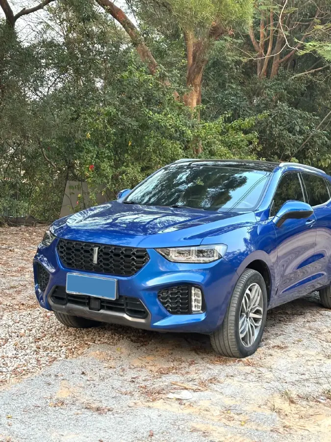 2019 WEY VV5 2.0T 197HP L4 7DCT