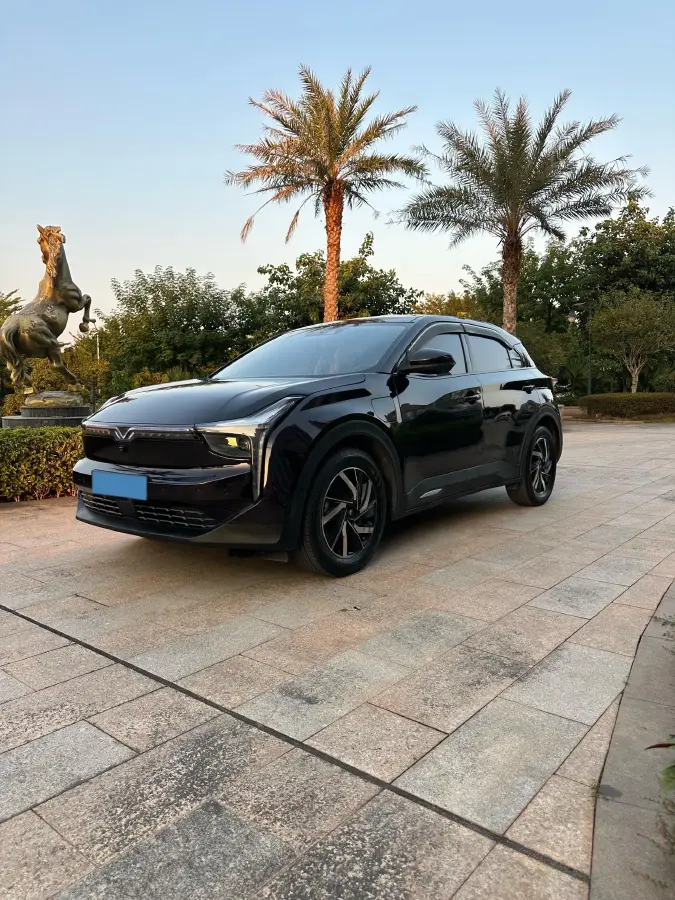 2021 Neta U BEV 66.23KWH