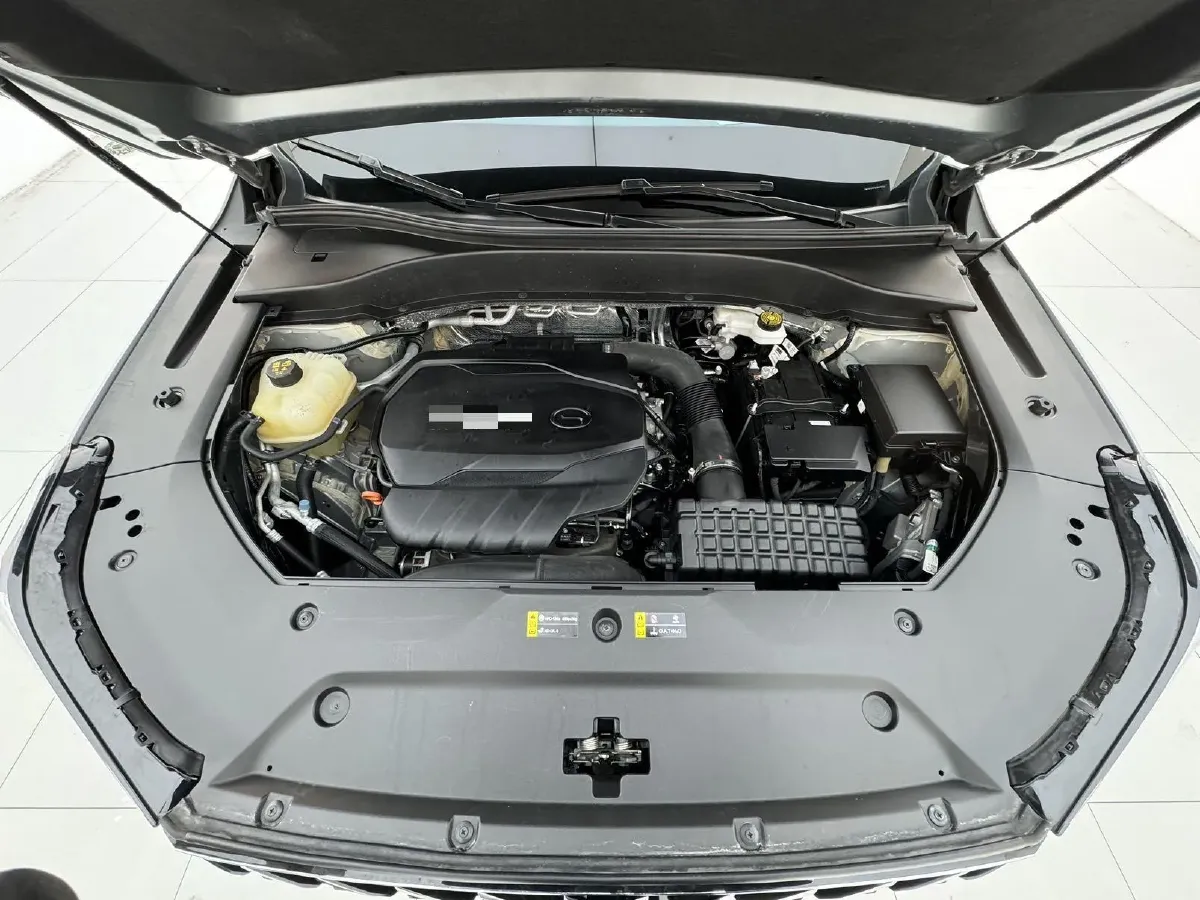 2022 GAC Trumpchi GS8 2.0T 252HP L4 8AT,autocango,china used car exporter,china ev exporter,chinese used car exporter,chinese used ev exporter