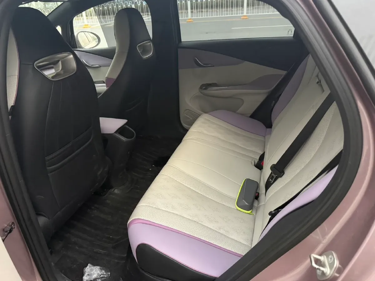 2023 BYD Dolphin BEV 44.928KWH,autocango,china used car exporter,china ev exporter,chinese used car exporter,chinese used ev exporter