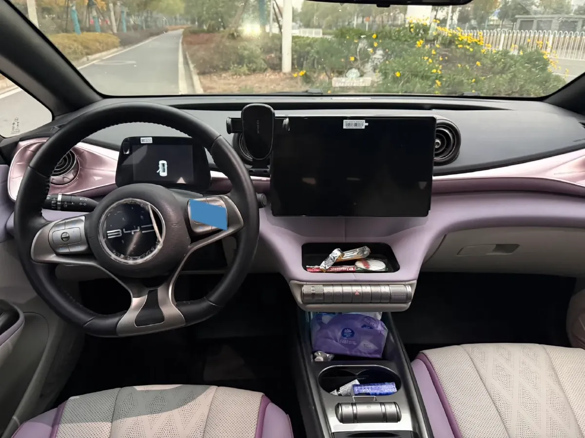 2023 BYD Dolphin BEV 44.928KWH,autocango,china used car exporter,china ev exporter,chinese used car exporter,chinese used ev exporter