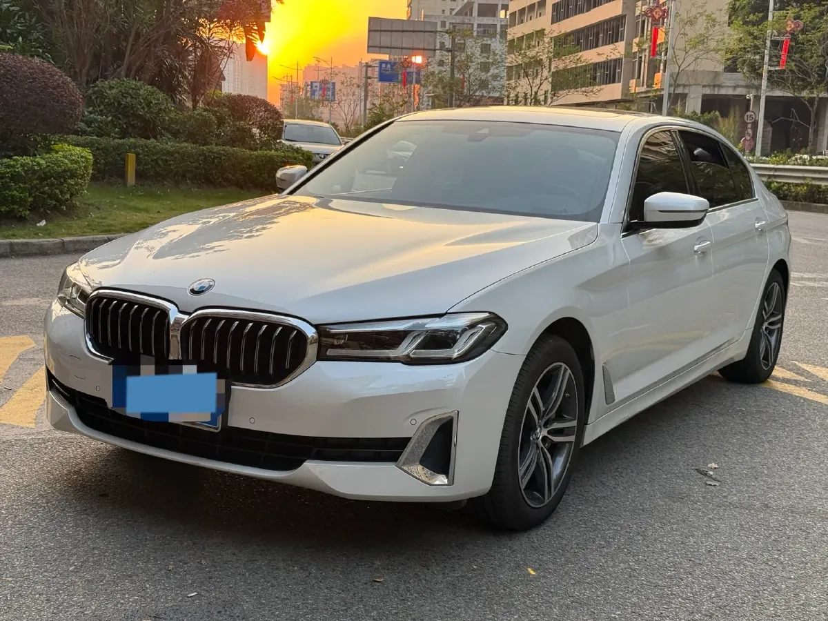 2021 BMW 5 Series 2.0T 252HP L4 8AT,autocango,china used car exporter,china ev exporter,chinese used car exporter,chinese used ev exporter