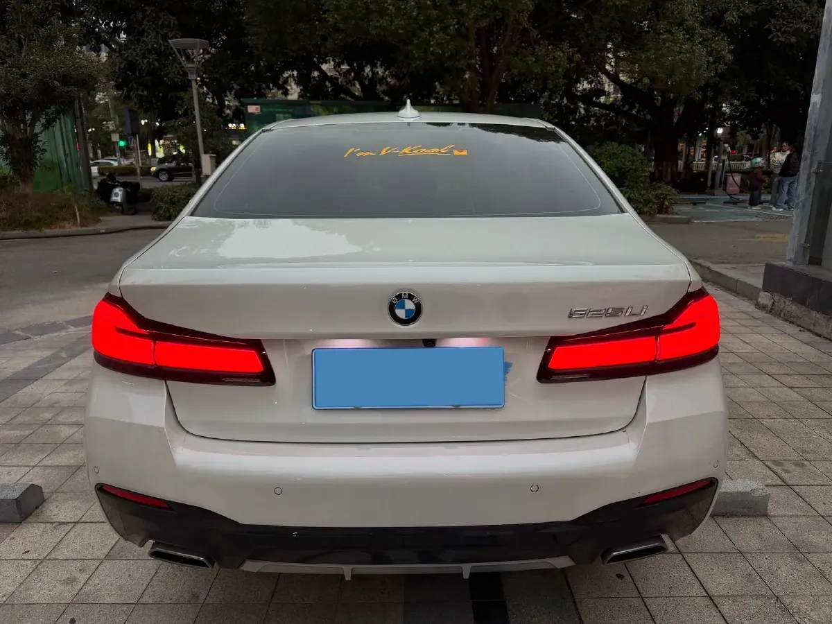 2021 BMW 5 Series 2.0T 184HP L4 8AT,autocango,china used car exporter,china ev exporter,chinese used car exporter,chinese used ev exporter
