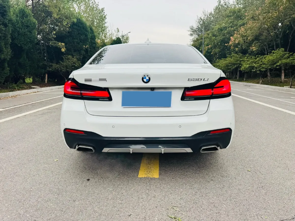 2021 BMW 5 Series 2.0T 252HP L4 8AT,autocango,china used car exporter,china ev exporter,chinese used car exporter,chinese used ev exporter