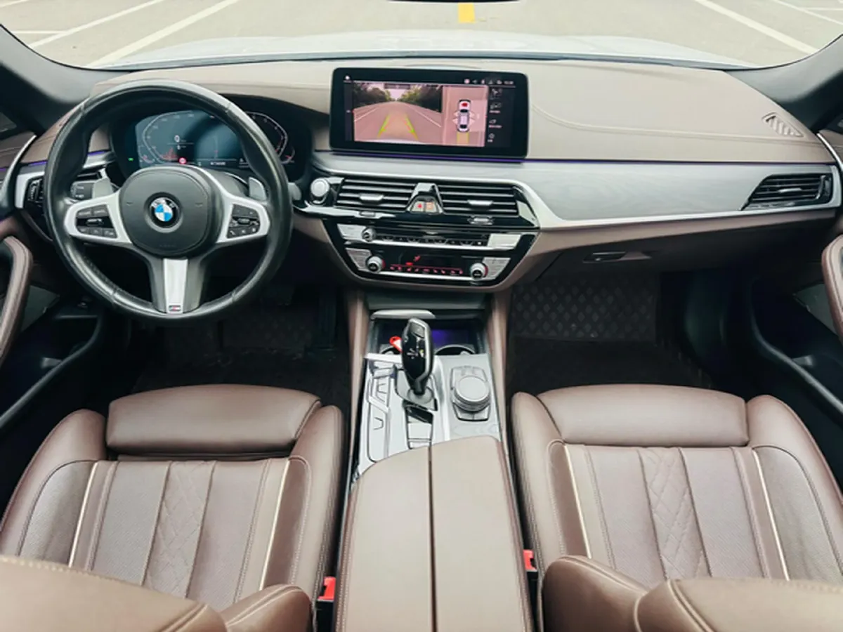 2021 BMW 5 Series 2.0T 252HP L4 8AT,autocango,china used car exporter,china ev exporter,chinese used car exporter,chinese used ev exporter