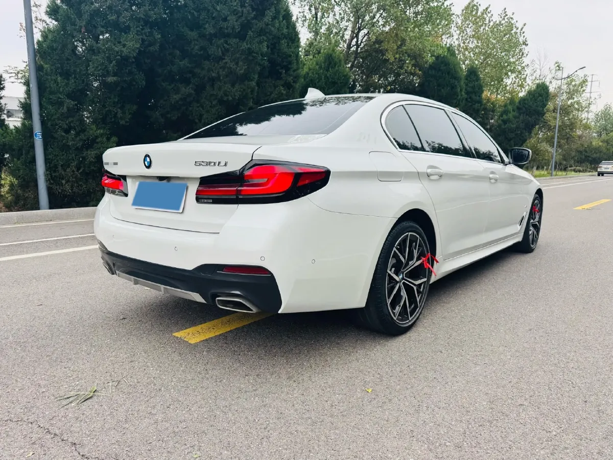 2021 BMW 5 Series 2.0T 252HP L4 8AT,autocango,china used car exporter,china ev exporter,chinese used car exporter,chinese used ev exporter