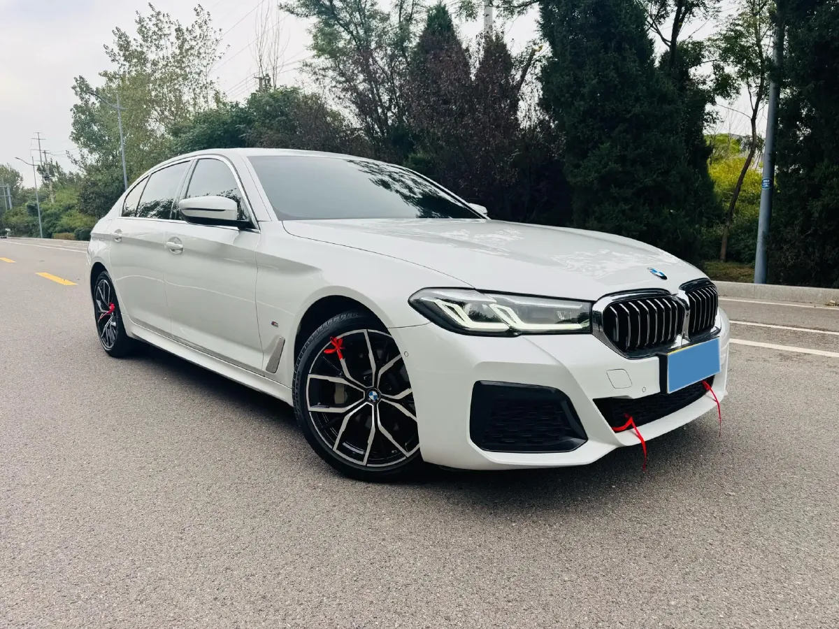 2021 BMW 5 Series 2.0T 252HP L4 8AT,autocango,china used car exporter,china ev exporter,chinese used car exporter,chinese used ev exporter