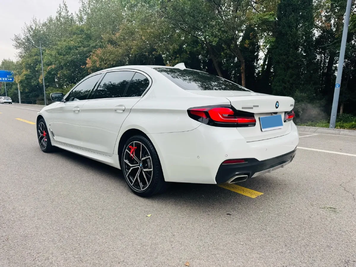 2021 BMW 5 Series 2.0T 252HP L4 8AT,autocango,china used car exporter,china ev exporter,chinese used car exporter,chinese used ev exporter