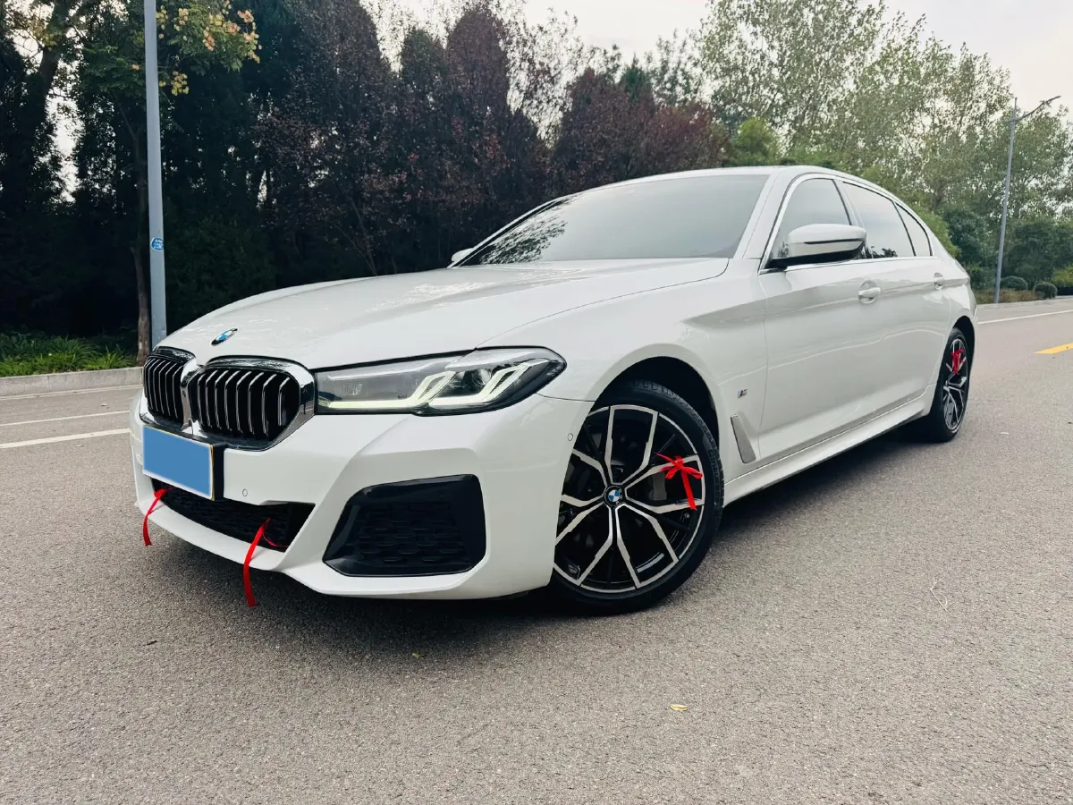 2021 BMW 5 Series 2.0T 252HP L4 8AT,autocango,china used car exporter,china ev exporter,chinese used car exporter,chinese used ev exporter