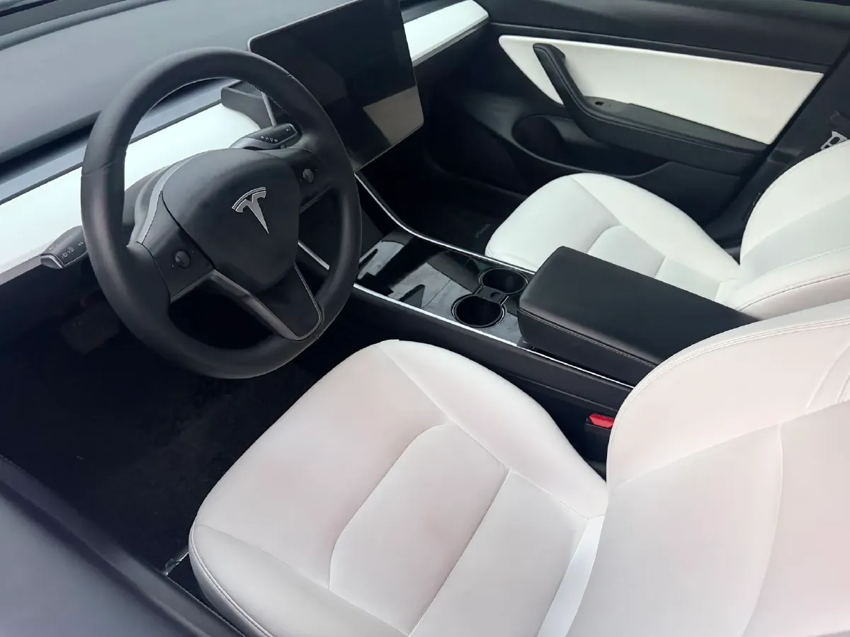 2020 Tesla Model 3 BEV 52KWH,autocango,china used car exporter,china ev exporter,chinese used car exporter,chinese used ev exporter