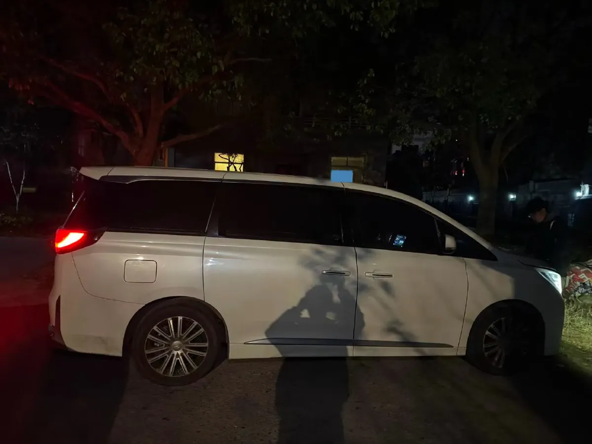 2021 GAC Trumpchi M8 2.0T 252HP L4 8AT,autocango,china used car exporter,china ev exporter,chinese used car exporter,chinese used ev exporter