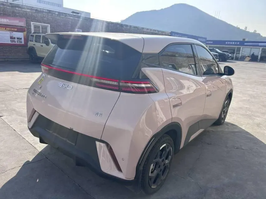 2024 BYD Seagull BEV 30.08KWH,autocango,china used car exporter,china ev exporter,chinese used car exporter,chinese used ev exporter