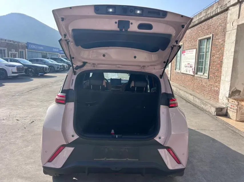 2024 BYD Seagull BEV 30.08KWH,autocango,china used car exporter,china ev exporter,chinese used car exporter,chinese used ev exporter