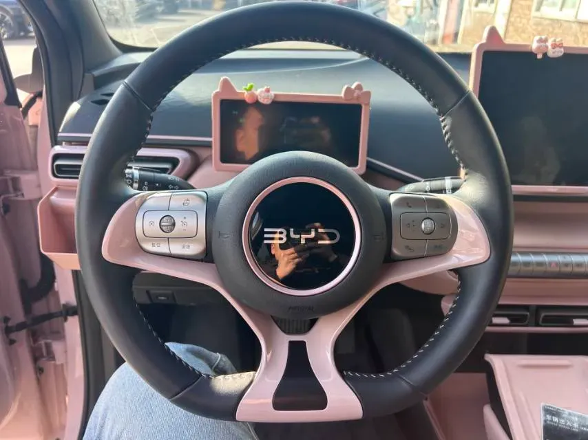 2024 BYD Seagull BEV 30.08KWH,autocango,china used car exporter,china ev exporter,chinese used car exporter,chinese used ev exporter