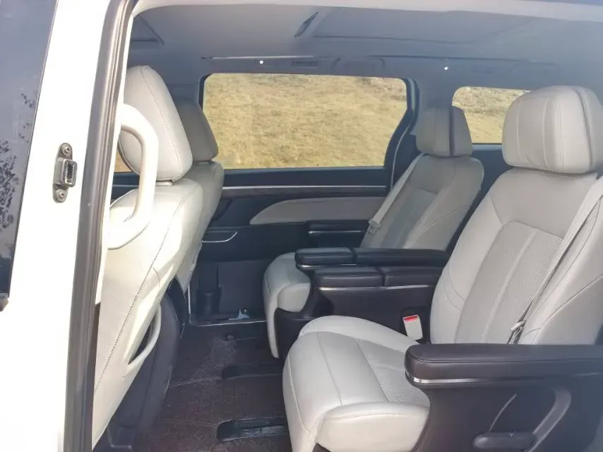 2021 GAC Trumpchi M8 2.0T 252HP L4 8AT,autocango,china used car exporter,china ev exporter,chinese used car exporter,chinese used ev exporter