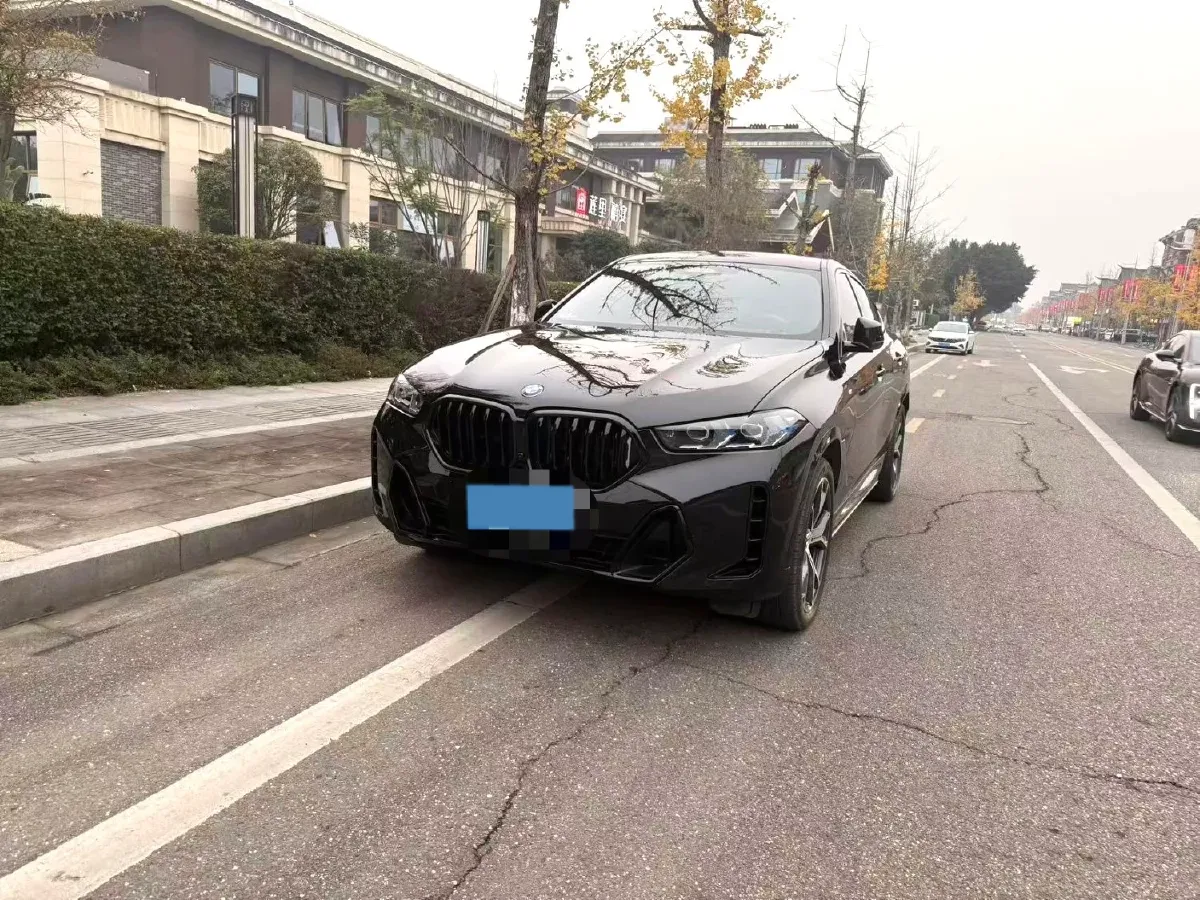 2023 BMW X6 3.0T 381HP L6 8AT,autocango,china used car exporter,china ev exporter,chinese used car exporter,chinese used ev exporter