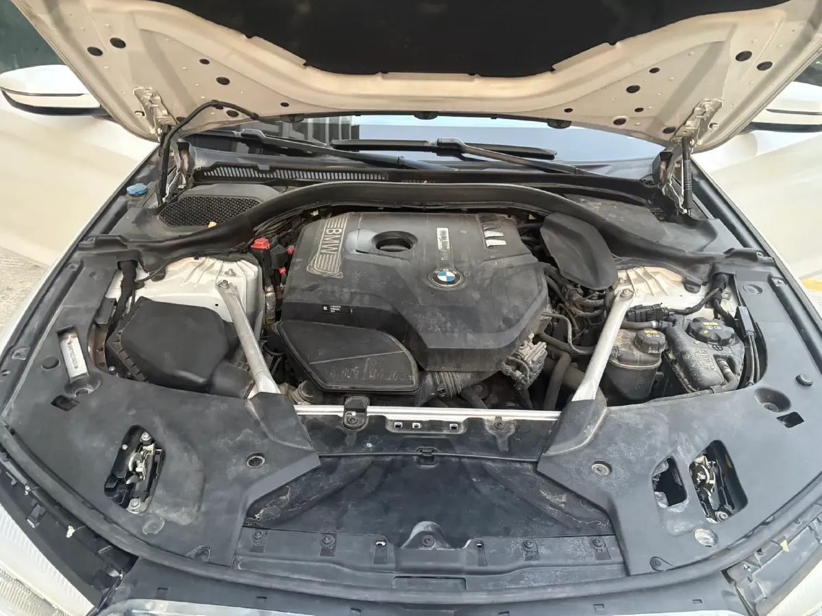 2020 BMW 5 Series 2.0T 184HP L4 8AT,autocango,china used car exporter,china ev exporter,chinese used car exporter,chinese used ev exporter