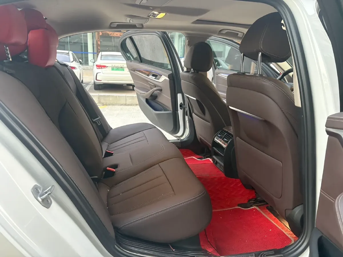 2020 BMW 5 Series 2.0T 184HP L4 8AT,autocango,china used car exporter,china ev exporter,chinese used car exporter,chinese used ev exporter