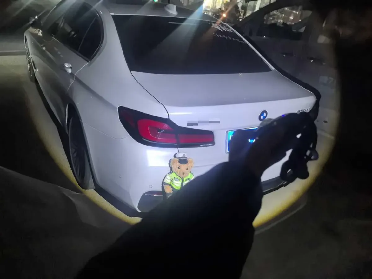 2023 BMW 5 Series 2.0T 245HP L4 8AT,autocango,china used car exporter,china ev exporter,chinese used car exporter,chinese used ev exporter